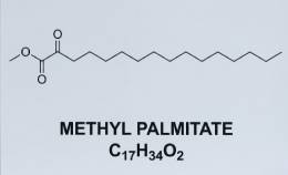 Guanylhydrazine Hydrogencarbonate